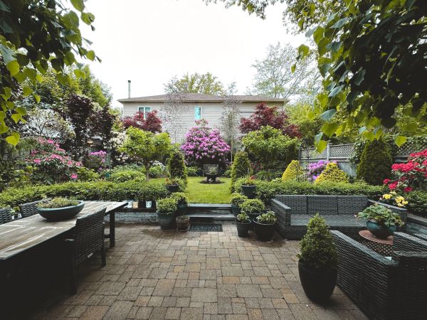 Créer et entretenir un jardin fonctionnel et esthétique