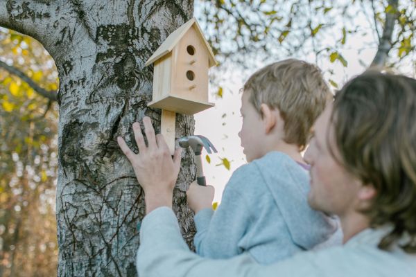 Les erreurs à éviter lors de l'installation de votre nichoir
