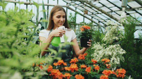 Les insecticides naturels, un choix économique et écologique